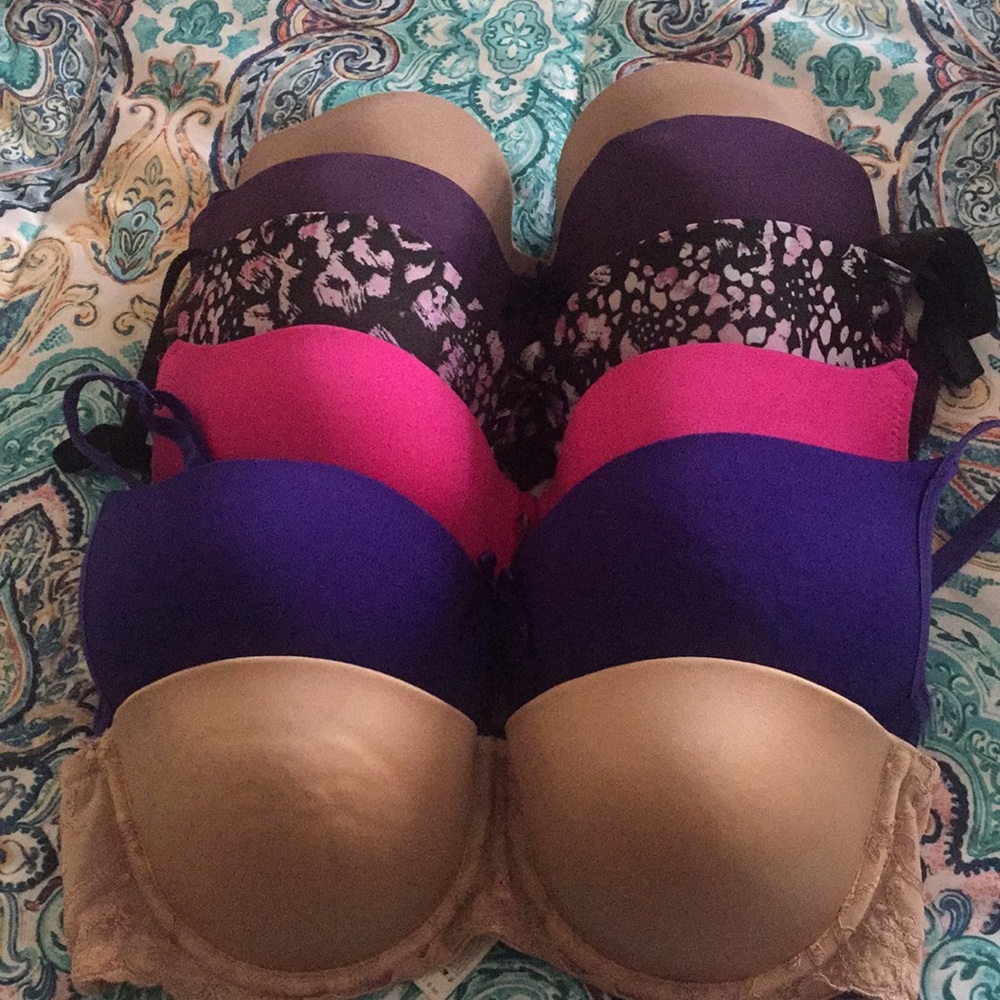 36C bras